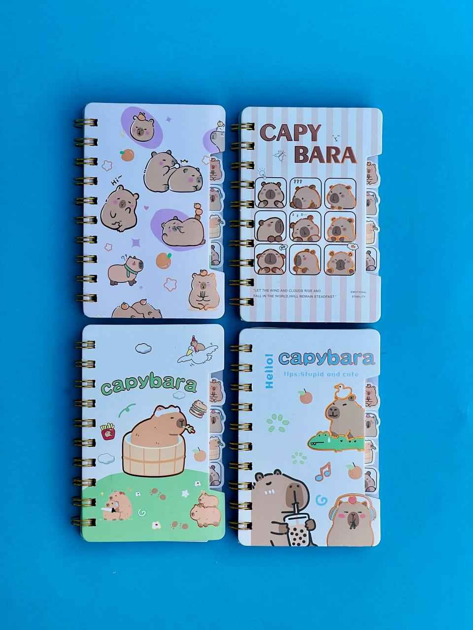 teddy bear notebook